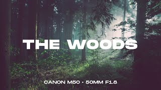INTO THE WOODS | Canon M50 + EF 50mm - Video Test