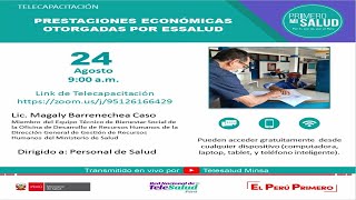 PRESTACIONES ECONÓMICAS OTORGADAS POR ESSALUD