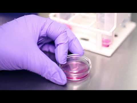 Tissue Engineered Textiles