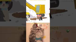 Little Kitten & Litle Kitty  #Kitten #Kitty #Educationalvideo