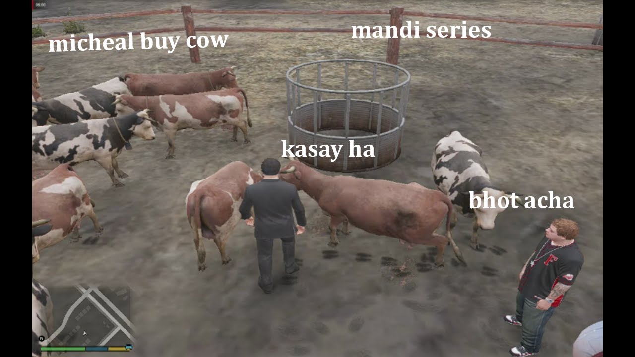 micheal buy cow | MANDI SERIES | EP 3 |