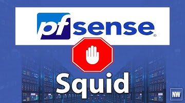 Instalar y configurar Squid Proxy Cache en Ubuntu 22.04 | NETWORLD