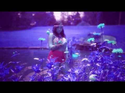 Paper Daisy - PaperLeavesBluesGreens (music video)