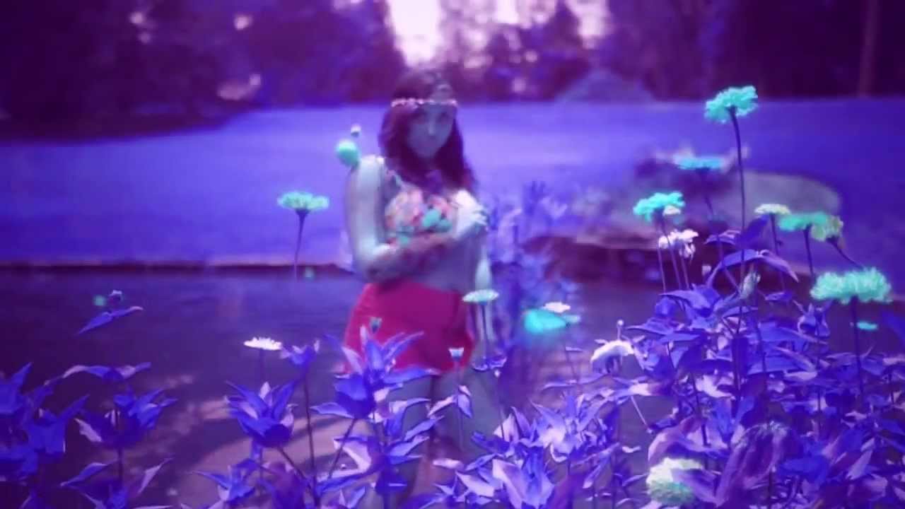 Paper Daisy - PaperLeavesBluesGreens (music video)