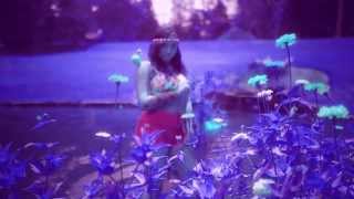 Paper Daisy - PaperLeavesBluesGreens (music video)
