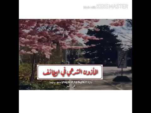 مأذون شرعي في الطائف0551931829 ابو تركي
