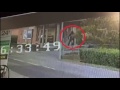 Rapina di Molinazzo: arrestati in Francia i malviventi che hanno tentato la rapina. Il video