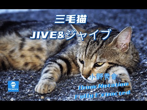 小野秀幸 - 三毛猫JIVE&ジャイブ  (Gitadora Master) Drum Notation Fully Extracted | 完整鼓谱 | 完全ドラムスコア