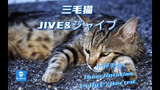 小野秀幸 - 三毛猫JIVE&ジャイブ  (Gitadora Master) Drum Notation Fully Extracted | 完整鼓谱 | 完全ドラムスコア