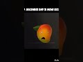 What happened with the great meme reset?