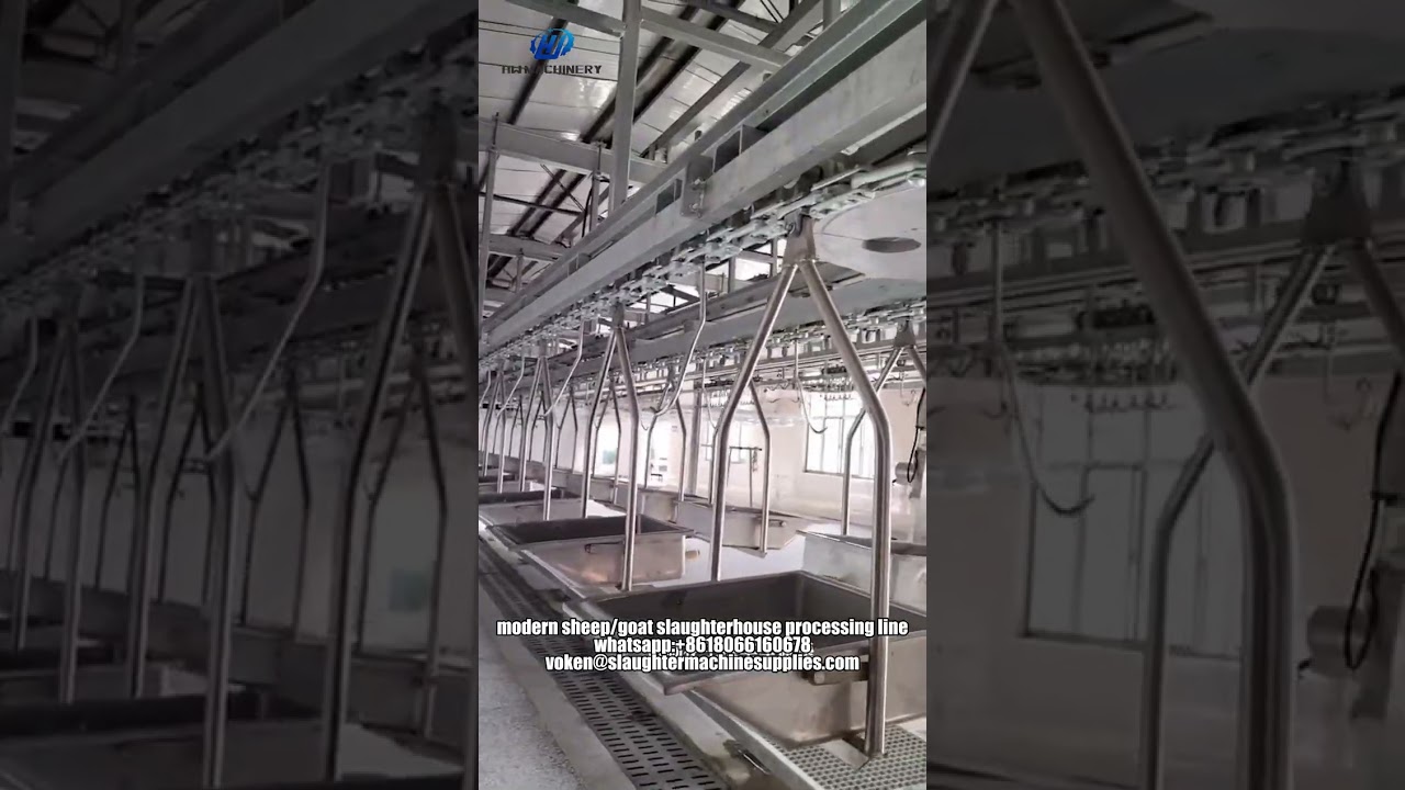 Modern Sheep & Goat Slaughterhouse Processing Line Installation