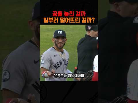 공을 놓친 걸까 일부러 떨어뜨린 걸까 thumbnail