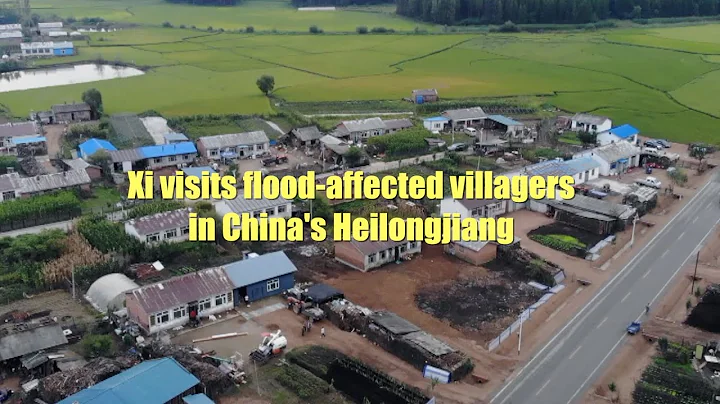 Xi visits flood-affected villagers in China's Heilongjiang - DayDayNews