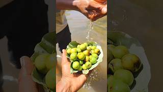 Kul Makha Village Adivasi Style