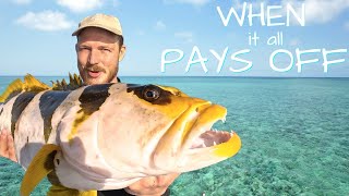 Epic FISHING and SPEARFISHING off Bowen QLD!