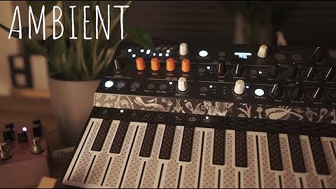 Arturia Microfreak: Relaxing Ambient Sounds w/ Keystep 37, OBNE Sunlight Pedal