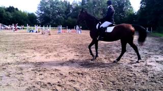 Sparta Reelika Lipp 75Cm