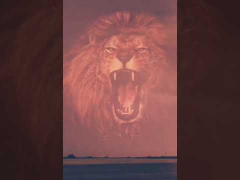 #مديح المداح حاتم مخلف