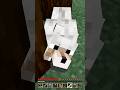 Dog Angry my Mistake? #minecraft