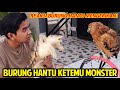 REAKSI BURUNG HANTU KETEMU MONSTER! REAKSINYA MENGERIKAN! REAKSI OWIE KETEMU REPTIL AKU!