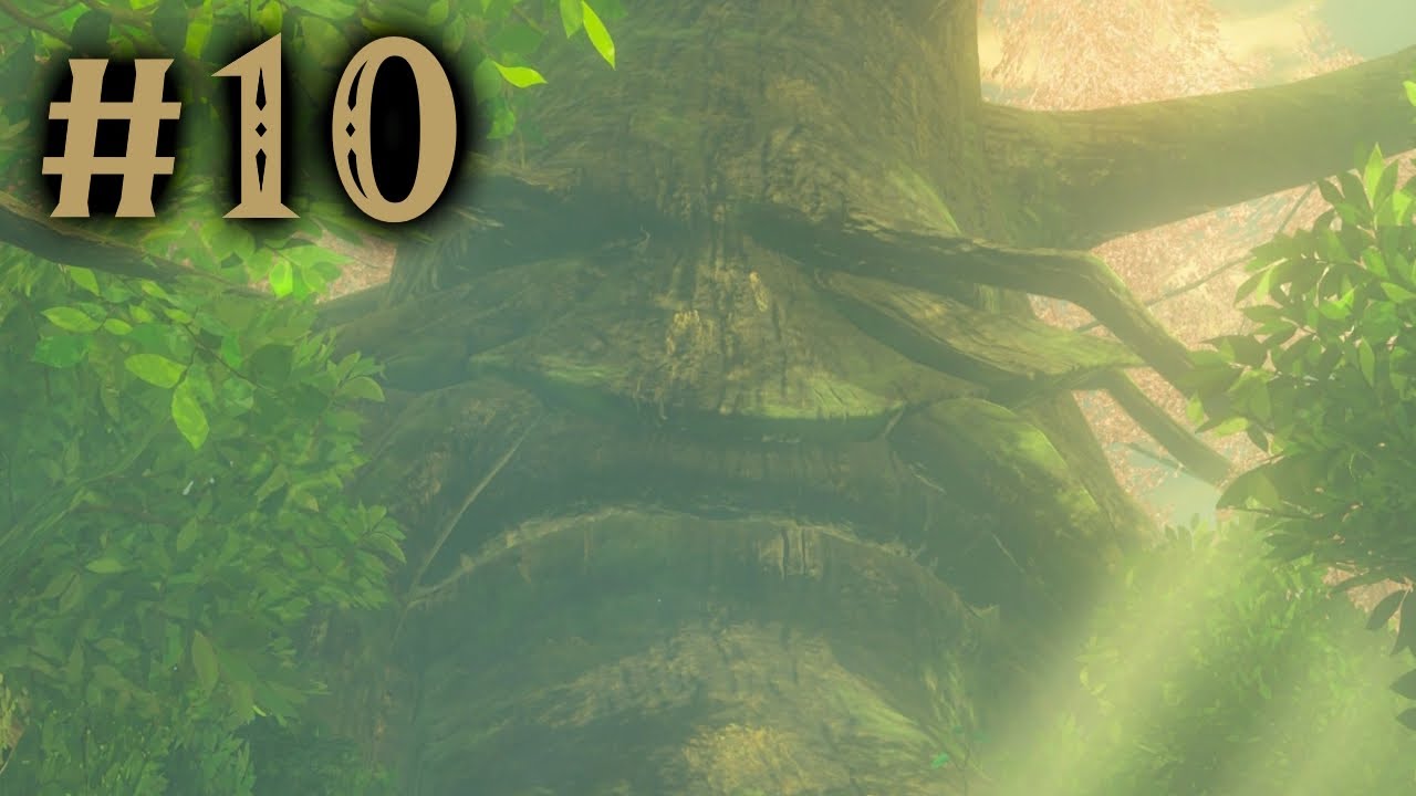 #10: The Journey to Korok Forest - Breath of the Wild 100% Walkthrough (NS2)