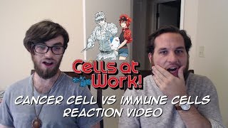Cancer Cell Vs Immune Cells Reaction Hataraku Saibou Ep 7 Highlights