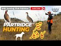 Partridge hunting  teetar ka shikar