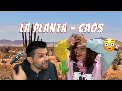 ARGENTINO REACCIONA A: LA PLANTA - CAOS. 🌵🎤😳 | Taco y Mate
