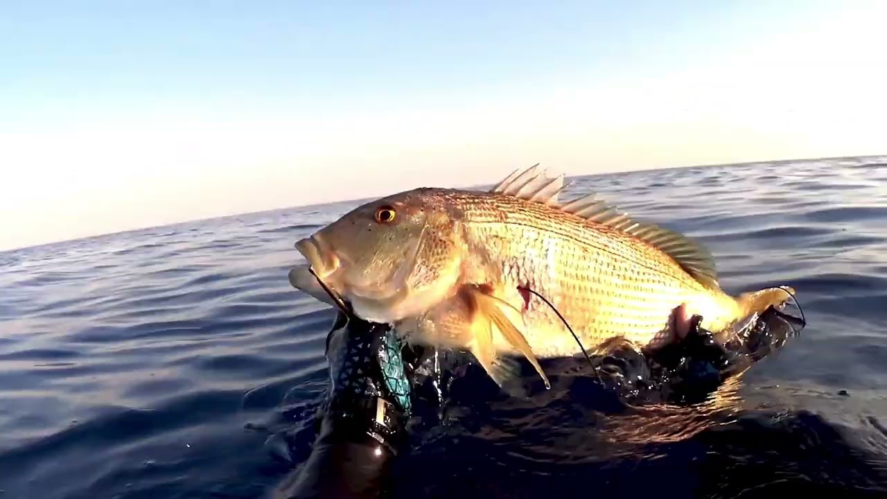 SPEARFISHING - God Didn't Save the Queen