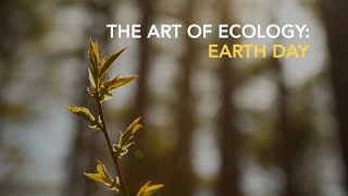 The Art of Ecology: Earth Day