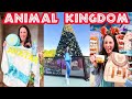 Disney's ANIMAL KINGDOM New Merch Search &amp; CHRISTMAS Decor! | November 2023 | Walt Disney World