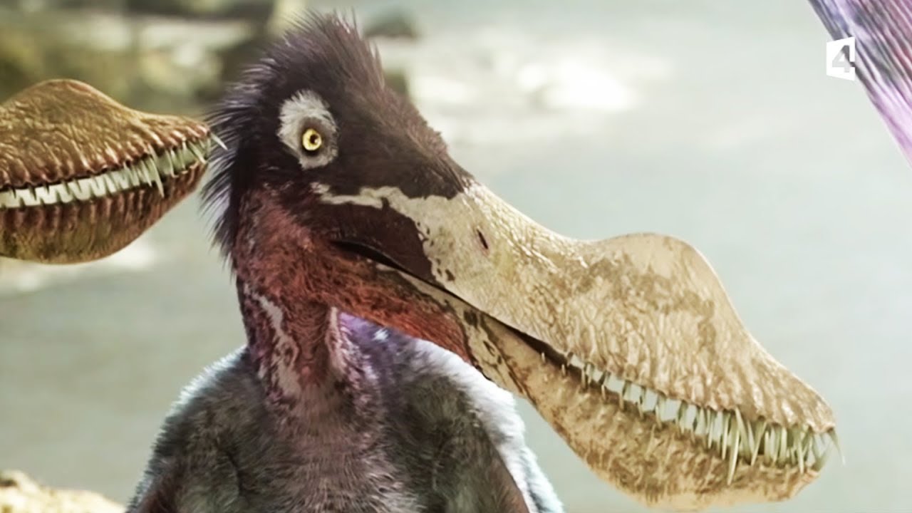 Un petit ptérosaure apprend à voler (anhanguera) - ZAPPING SAUVAGE