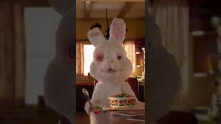 Sinov Quyonchasi Achinarli