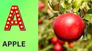 ABC Phonics Song | Alphabet letter sounds | ABC learning for toddlers | Education ABC Nursery Rhymes