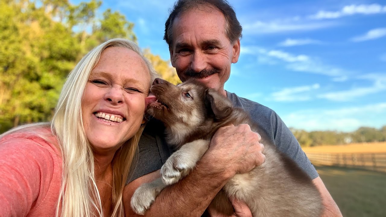 Зевс дома | Семья ранчо WaterWolf расширяется