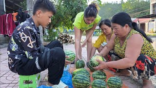 The boy Nam&#39;s went to pick beautiful, sweet watermelons to sell. Nam&#39;s daily life