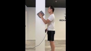 Shoulder Internal Rotation Wall Slide - Subscapularis & Rotator Cuff Stability exercise