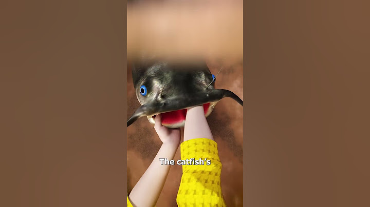 How To Noodle A Catfish 😮