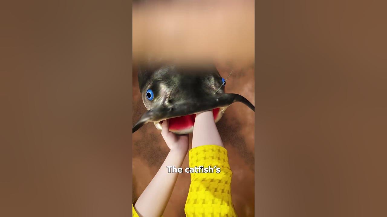 How To Noodle A Catfish 😮