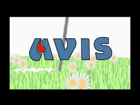 AVIS- ITALIANO.avi