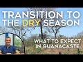 Preparing for Guanacaste's Dry Season | Costa Rica Matt