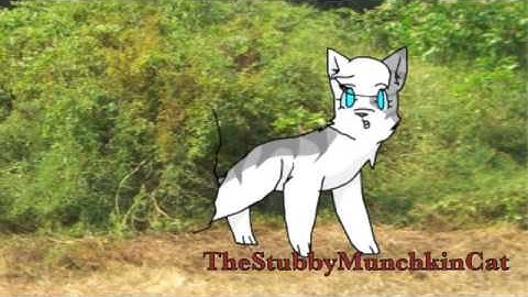 MAP parts 12 and 13: Illuminated