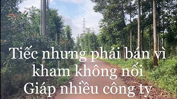 Bán 1 mẫu đất vuông vứt bằng phẳng xã láng lớn huyện châu Đức tỉnh bà rịa Vũng tàu giá tốt