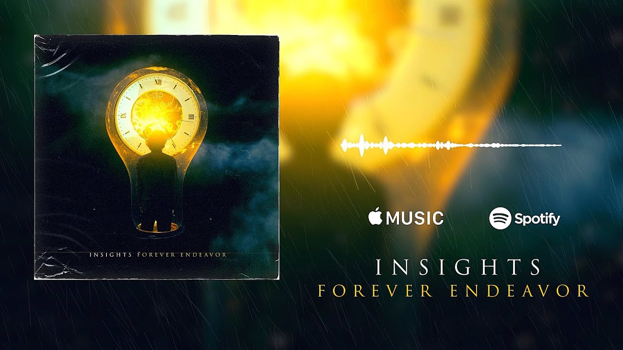 Insights - Forever Endeavor