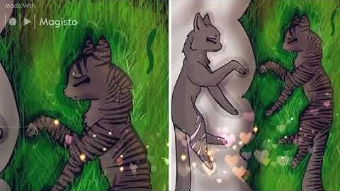 cinderpelt and cinderheart