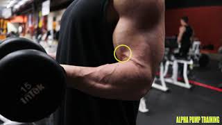 Dumbbell Half Curls