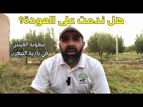 خيبة أمل؟