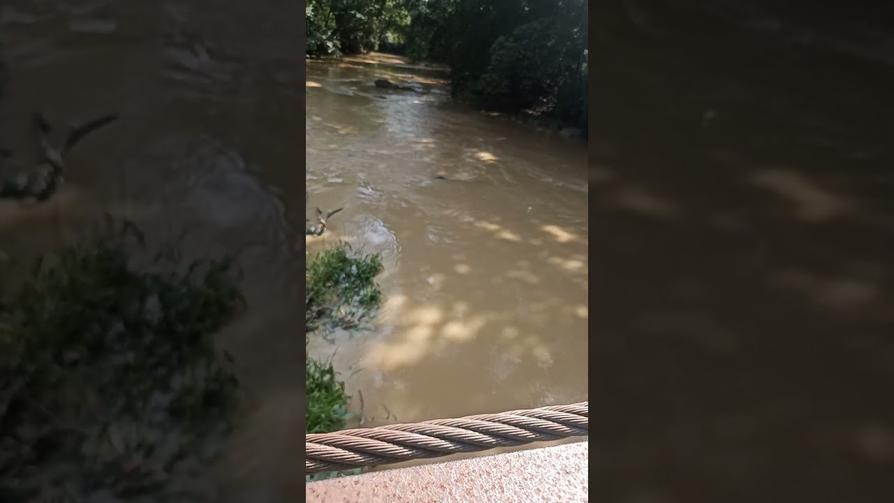 Osogbo: Osun River seen from the suspended bridge | Pelu Awofeso On The Road