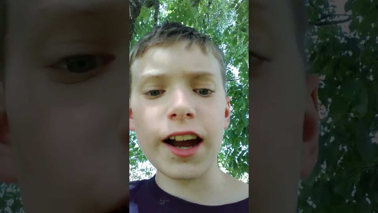 I don't know how to get up in the tree wait a minute.