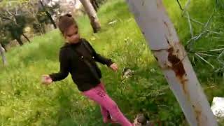 Birinci Ormandan Gidiş